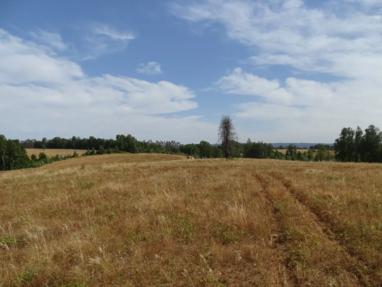 Foto 11