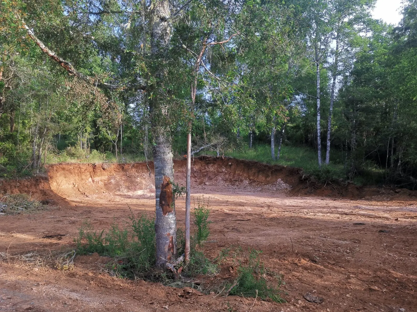 Foto 11