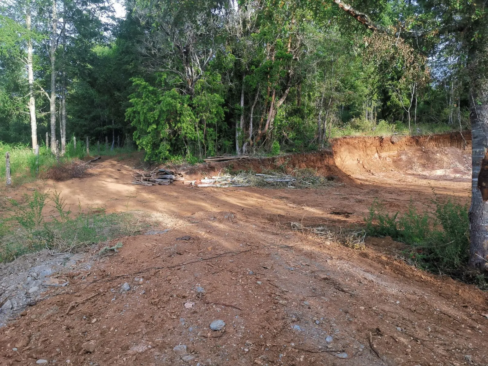 Foto 12