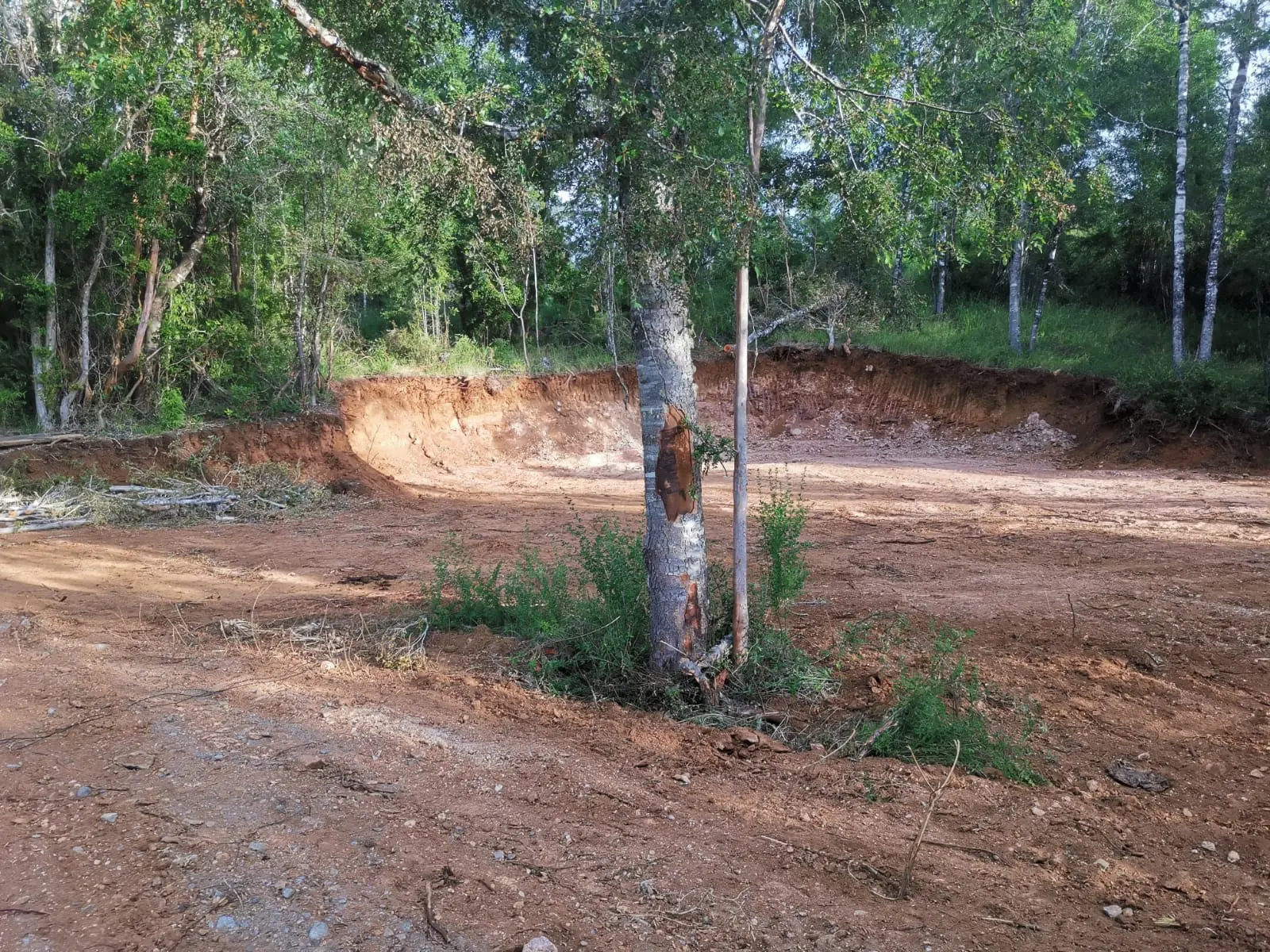 Foto 16