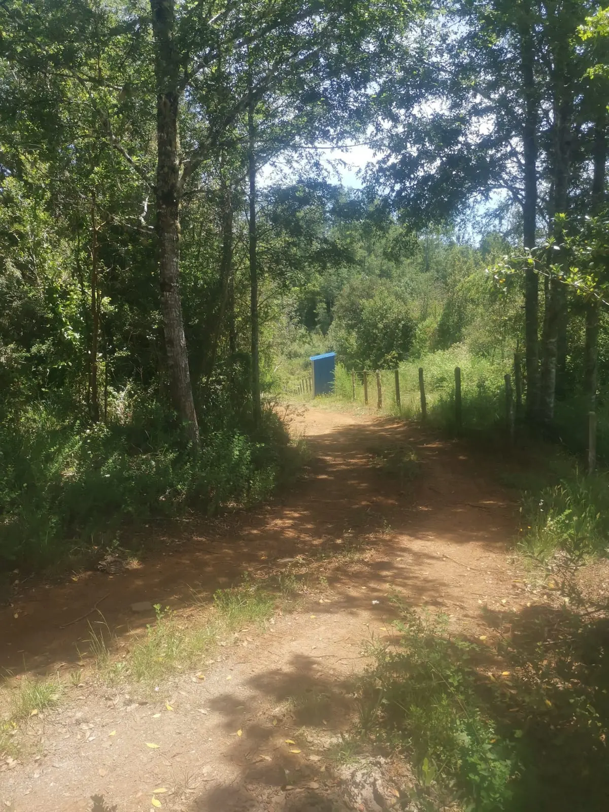 Vendo parcela de 5.000 M2 en Chancoyan