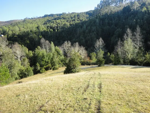 Foto 14