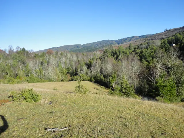 Foto 15