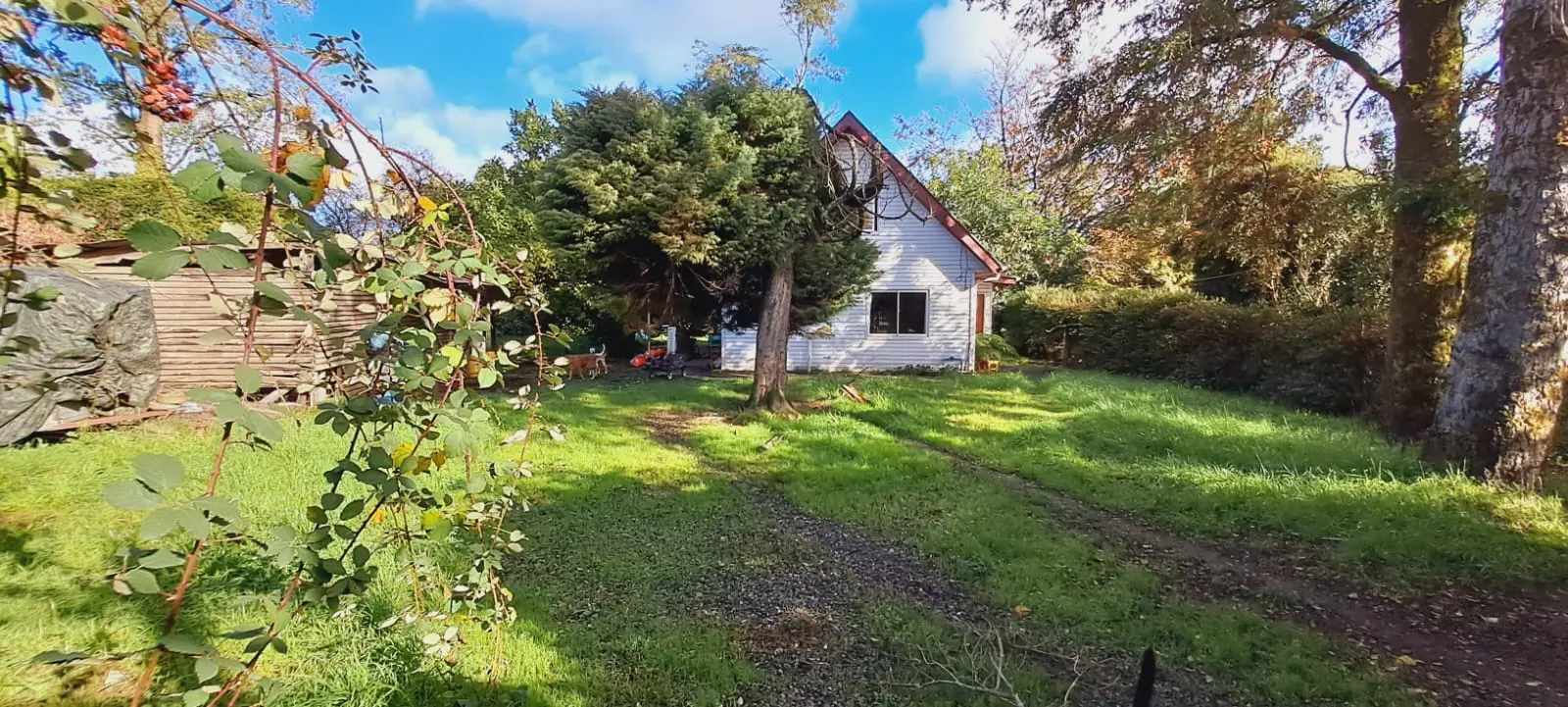 Foto 15