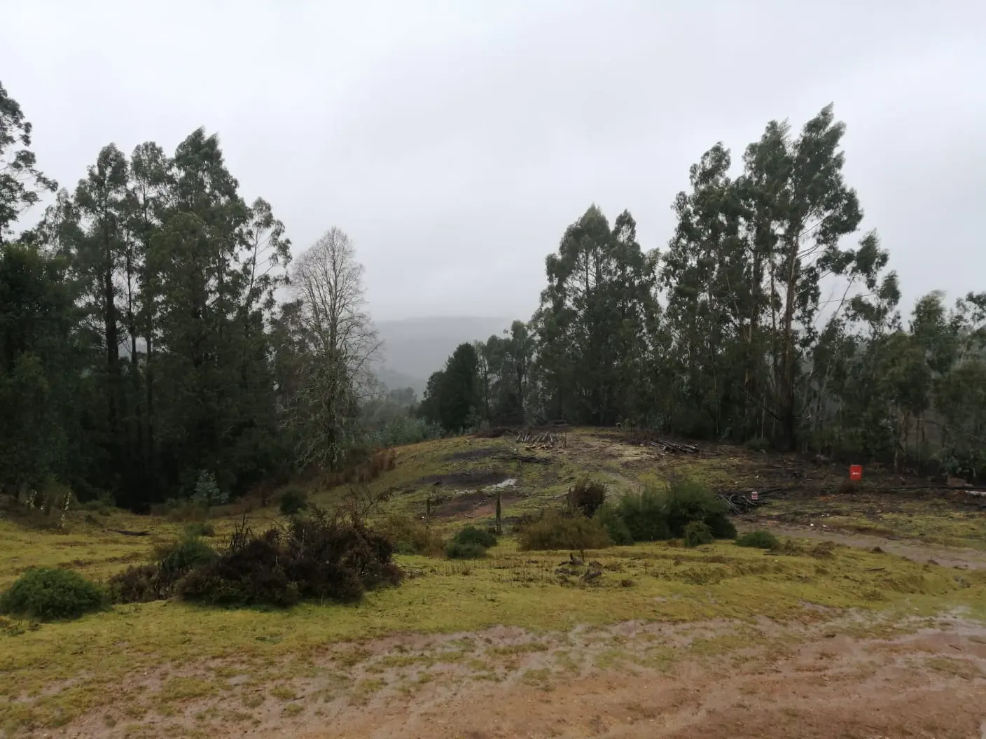 Vendo campo cercano a La Unión