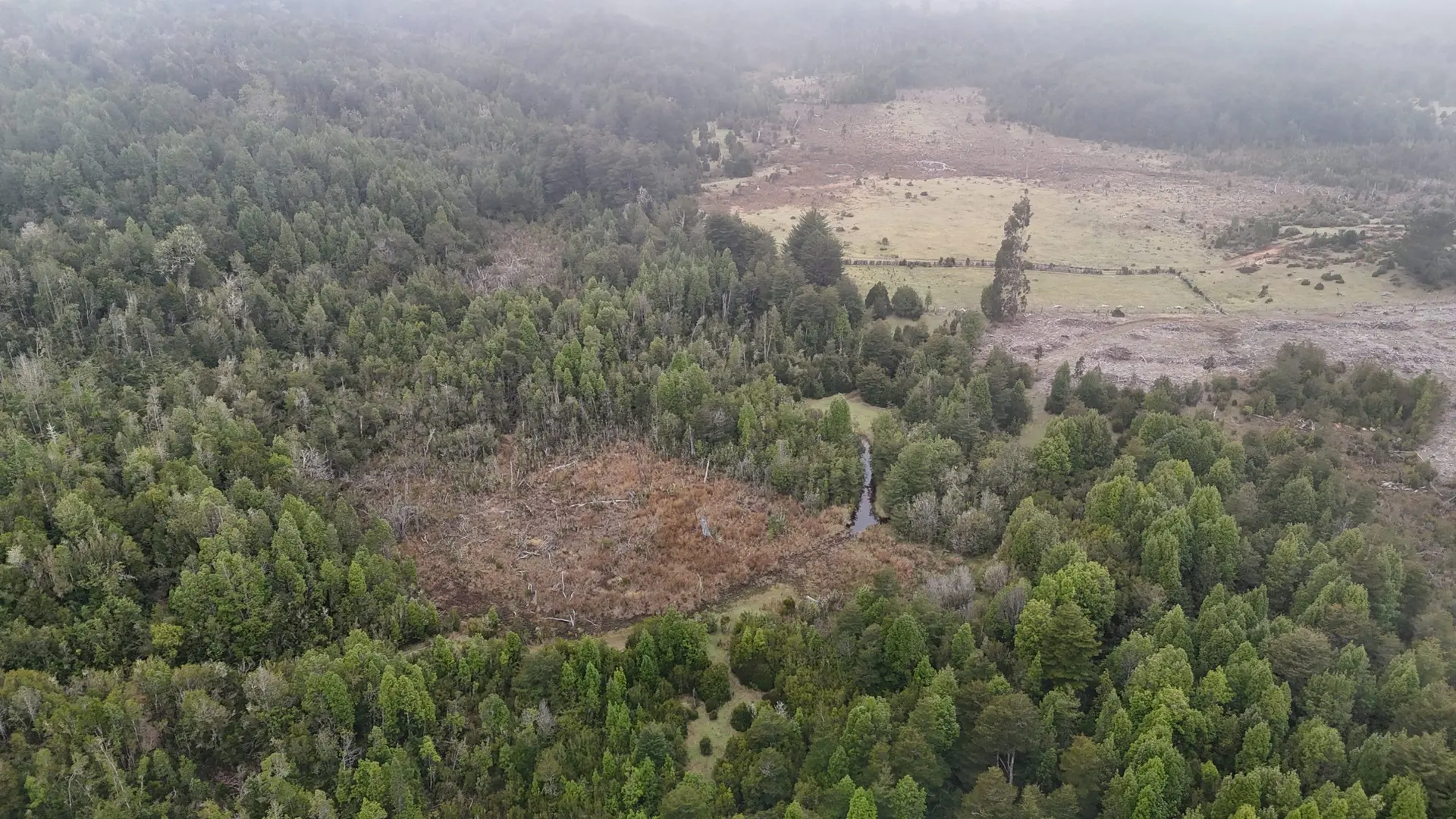 Vendo Terreno 59,7 ha Tres Chiflones – La Unión