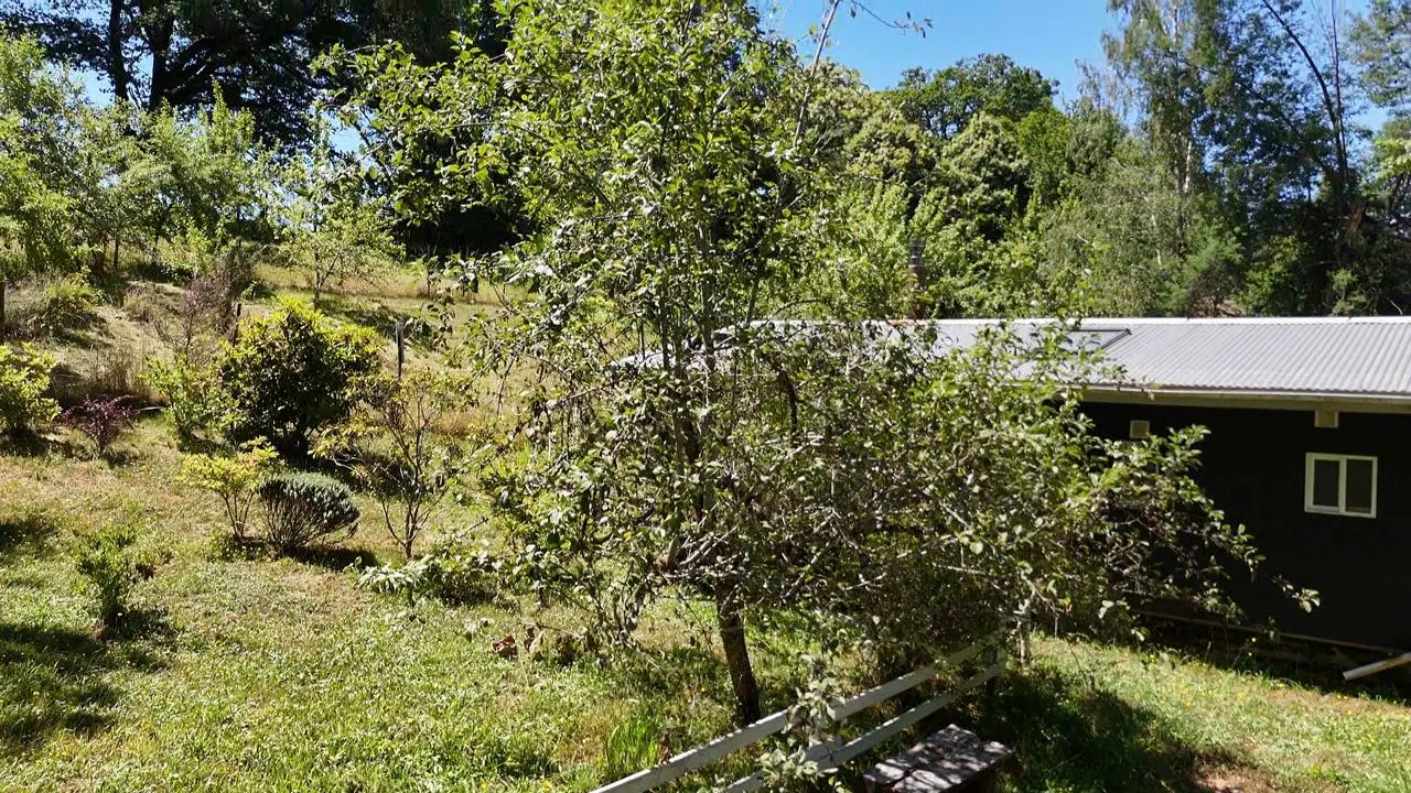 Foto 10