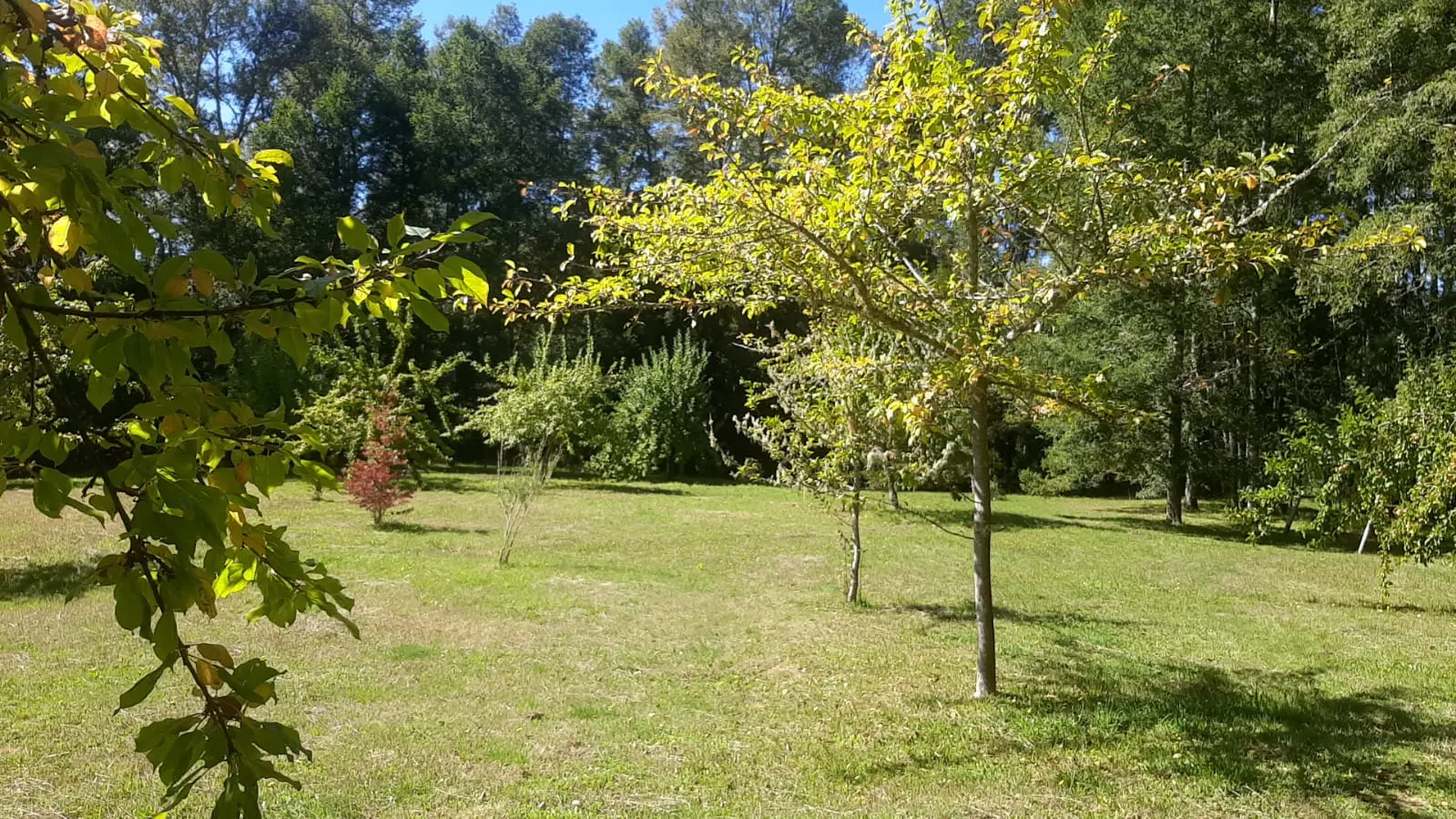 Foto 18