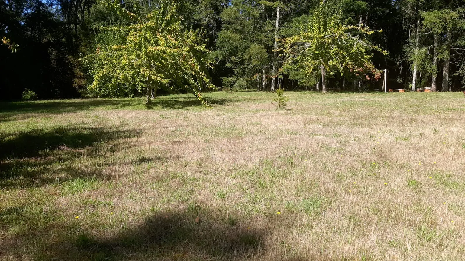 Foto 20