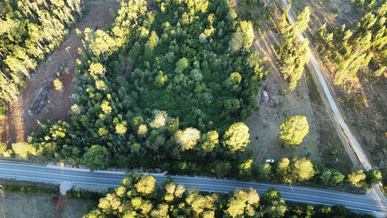 Vendo una hectárea terreno plano con dos pozos de agua en Máfil