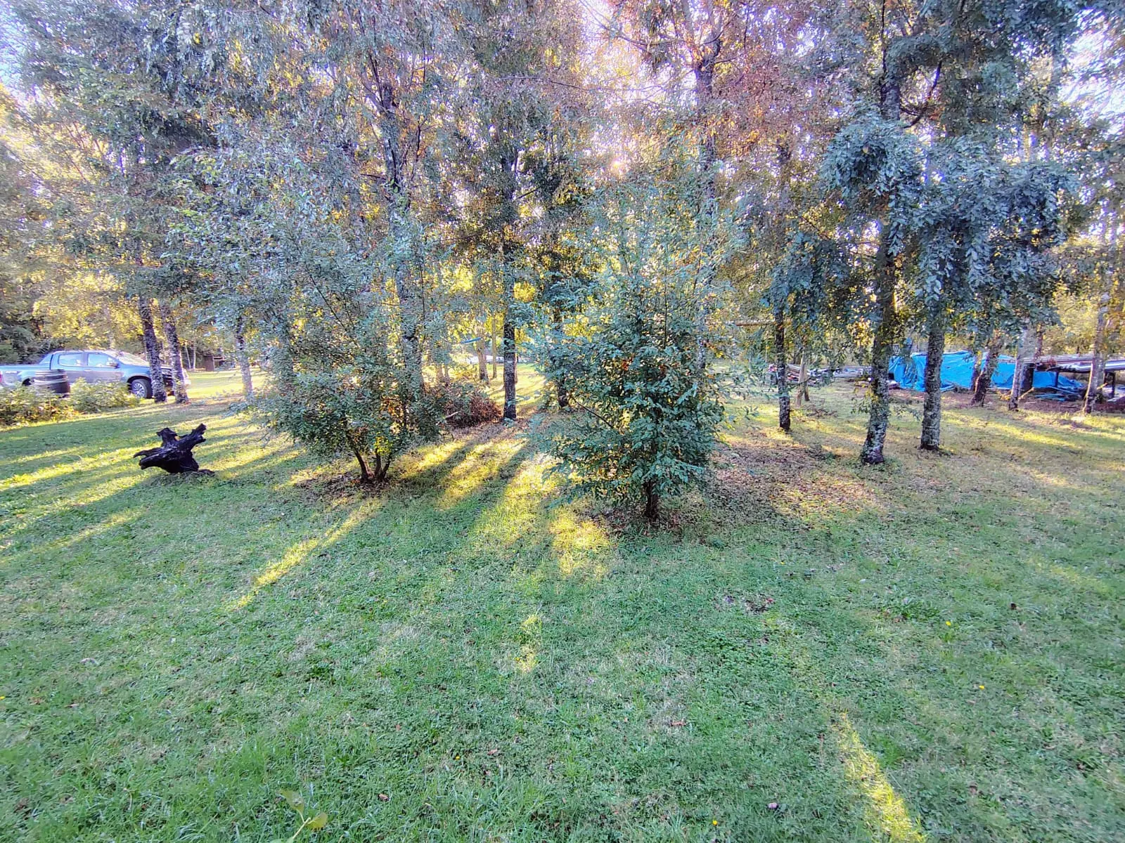 Foto 34