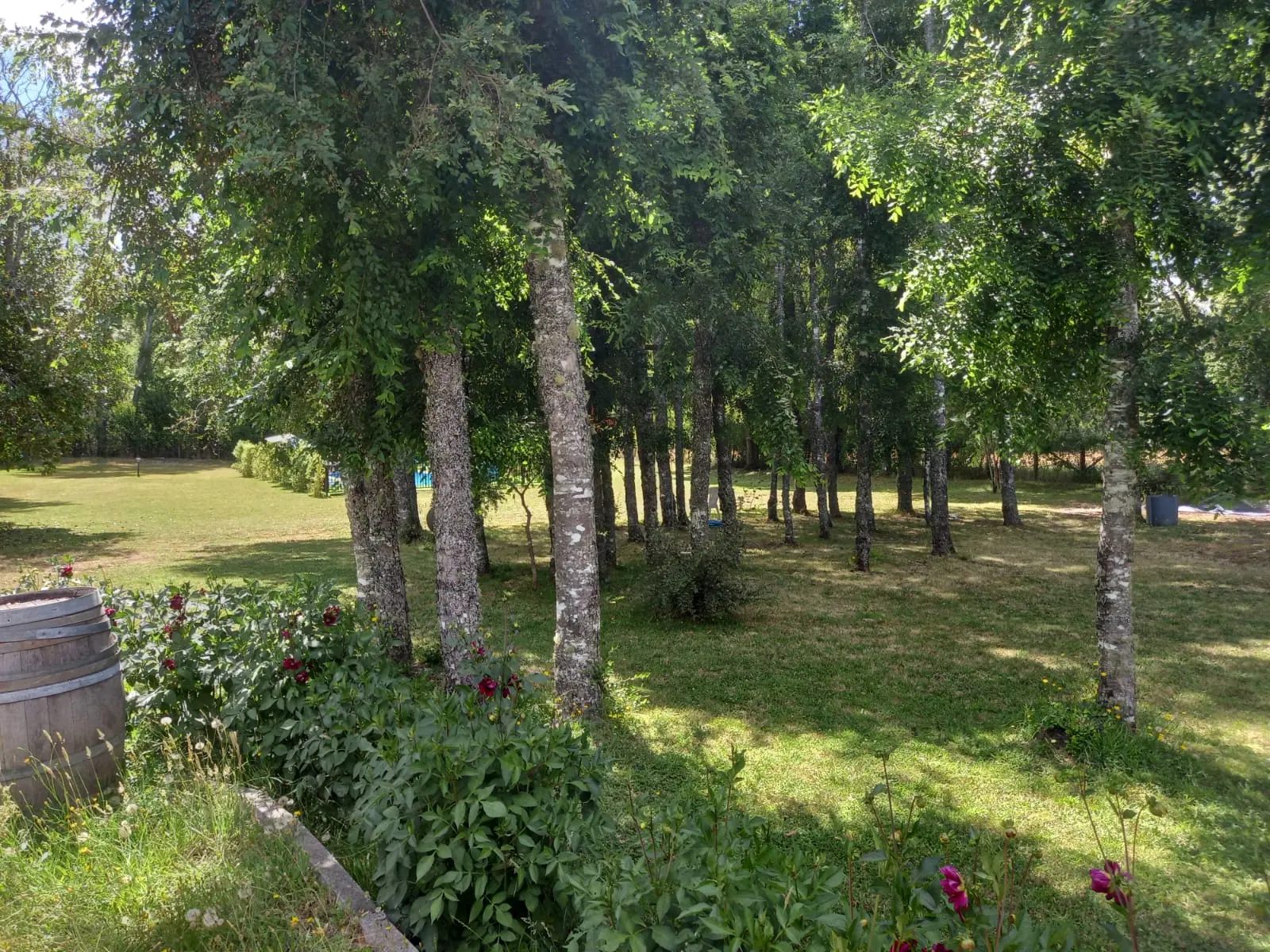 Foto 35