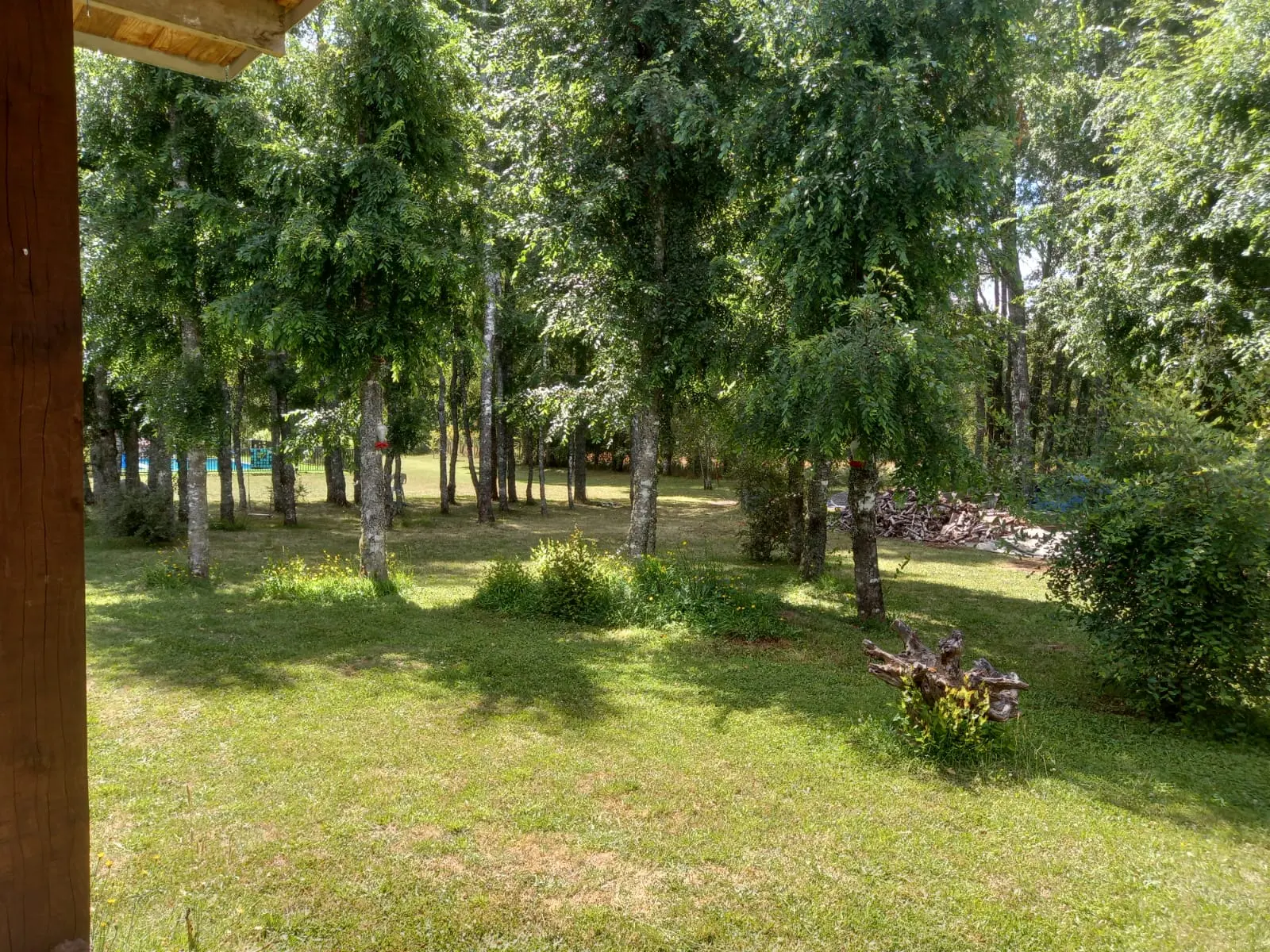 Foto 36