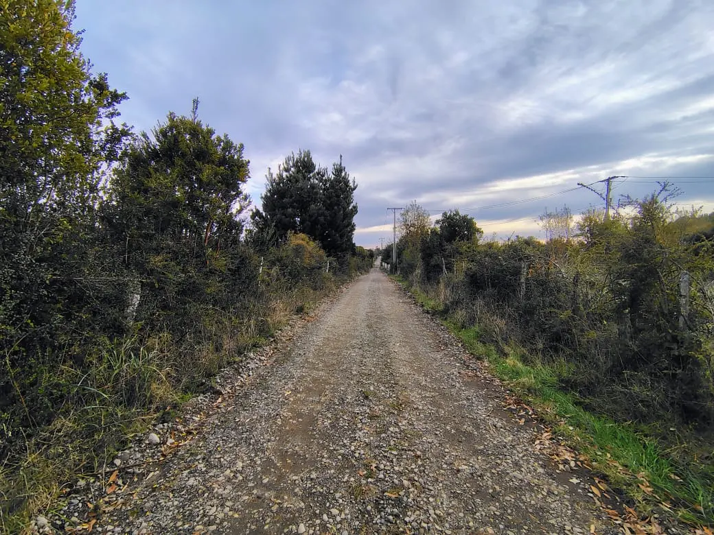 Vendo terreno sector Curiñanco