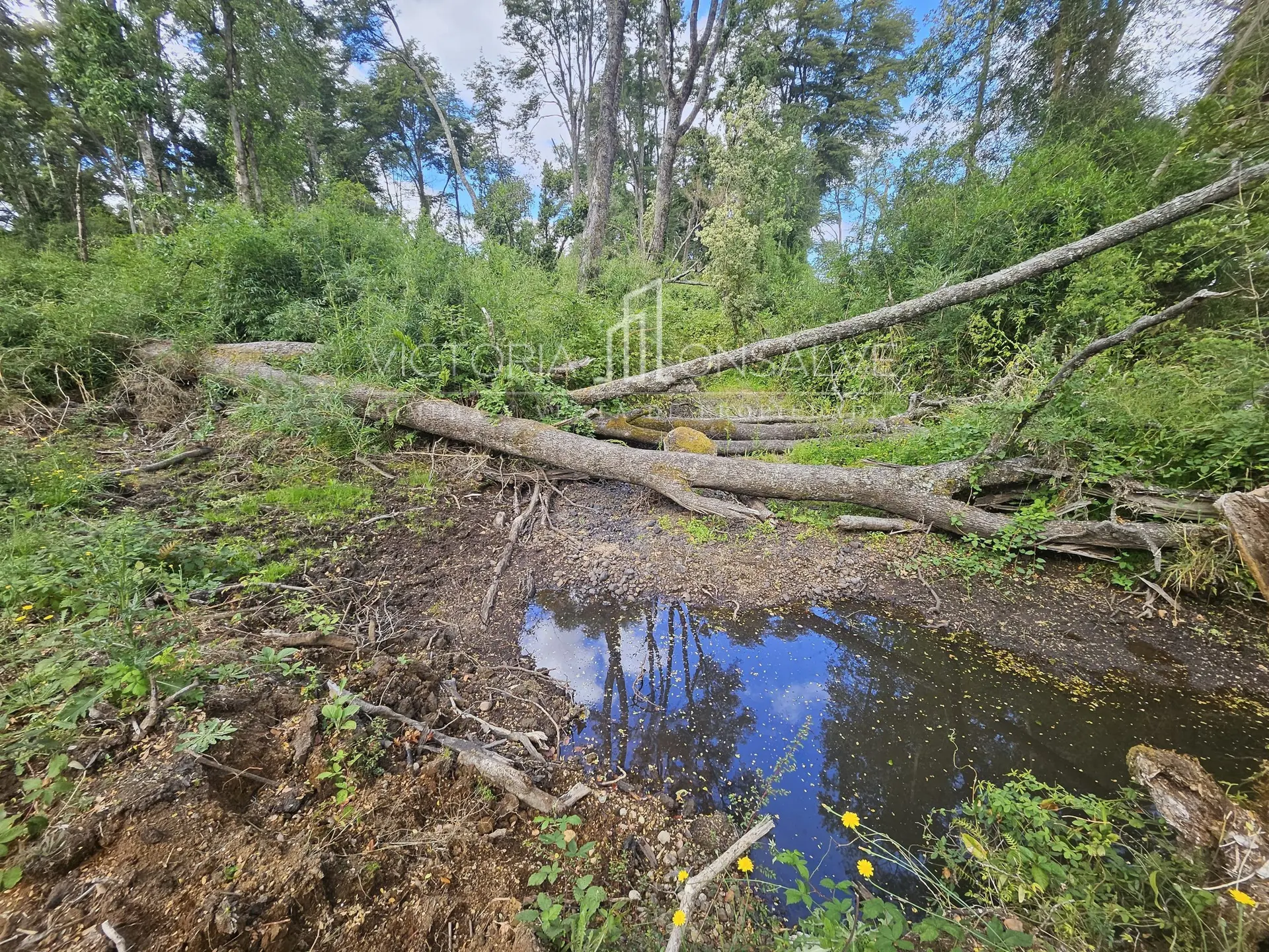 Foto 16