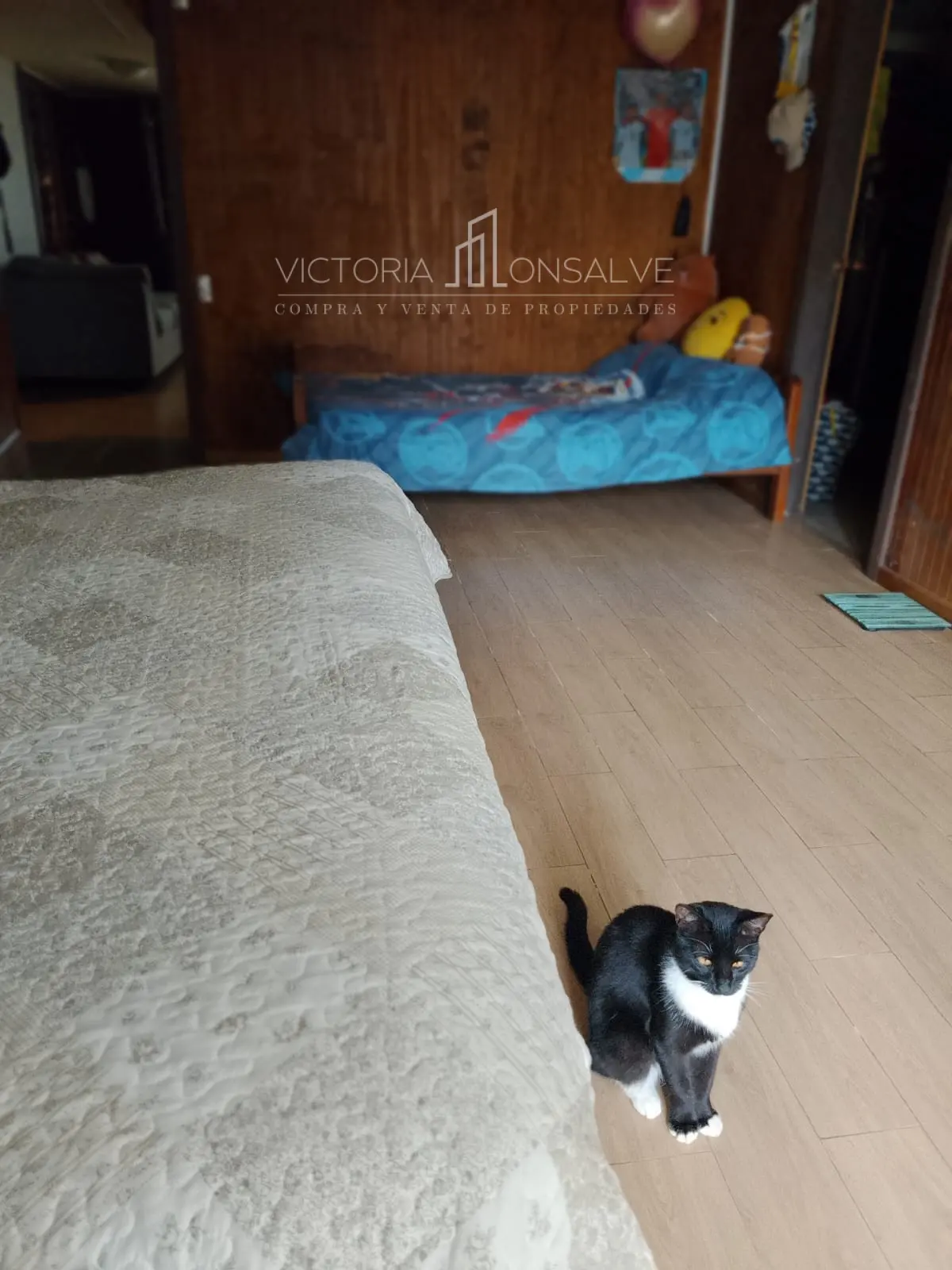 Foto 15
