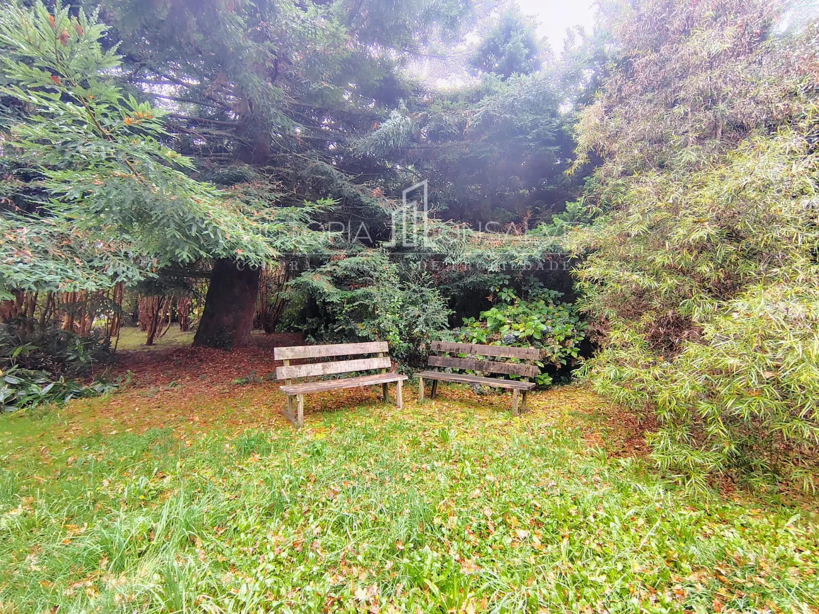 Foto 23
